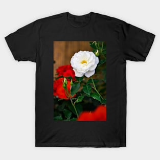 A Garden in Italy T-Shirt